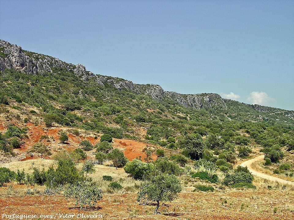 Escarpa e vegetação da Rocha da Pena, no concelho de Loulé