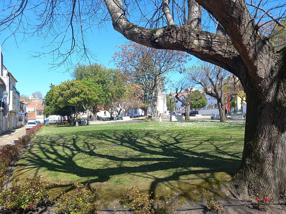 Relvado e arvoredo do Jardim da República, em Abrantes