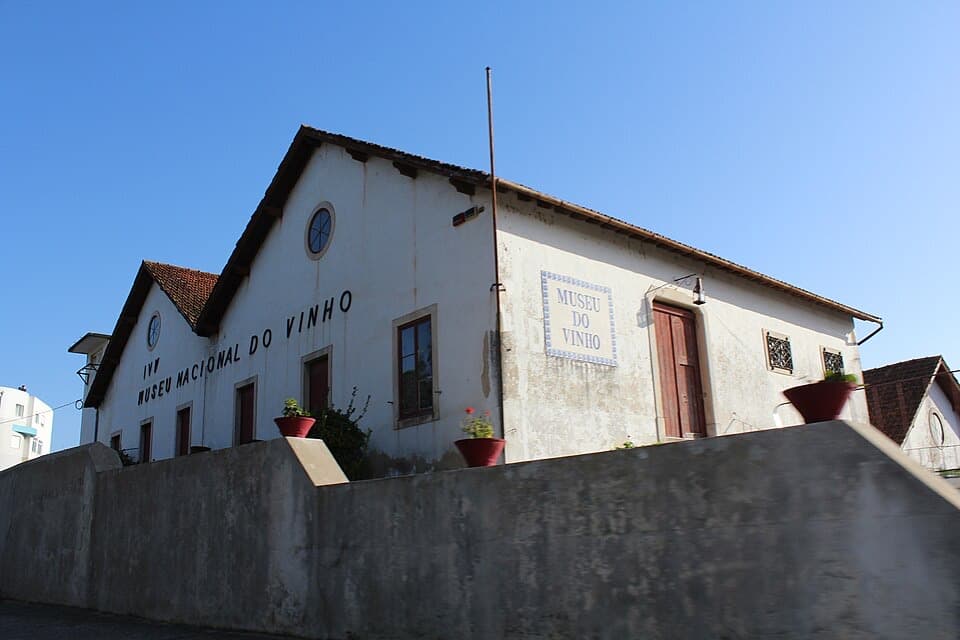 Edifício do Museu do Vinho de Alcobaça visto a partir do exterior