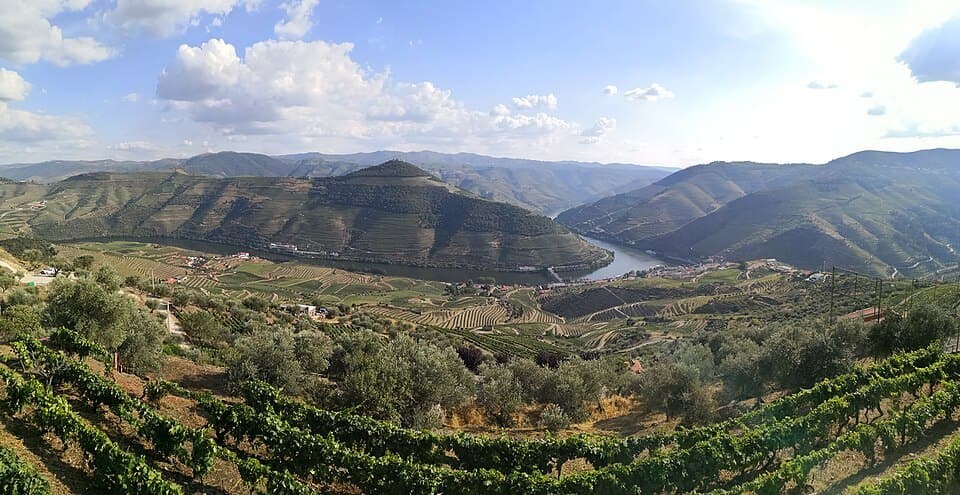 Douro visto do Miradouro de Casal de Loivos, em Alijó