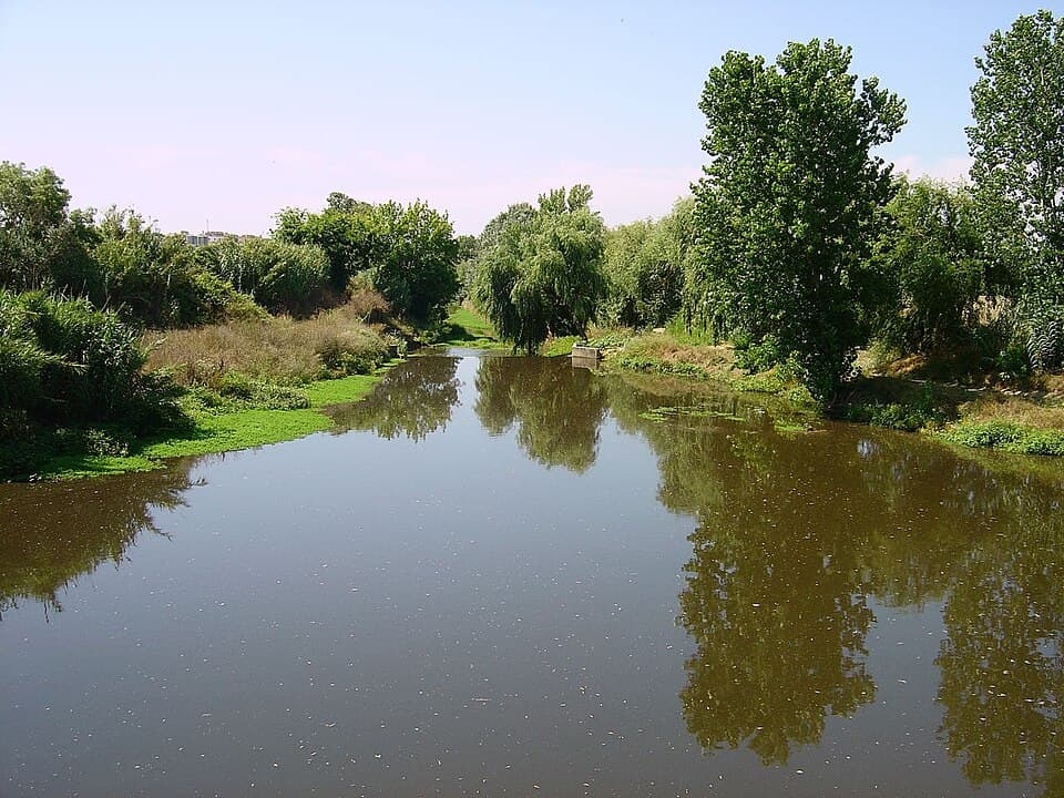 Vala Real de Alpiarça ladeada por árvores e vegetação