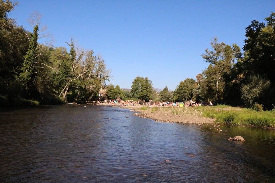 Rio Alva com margem arborizada junto a Côja