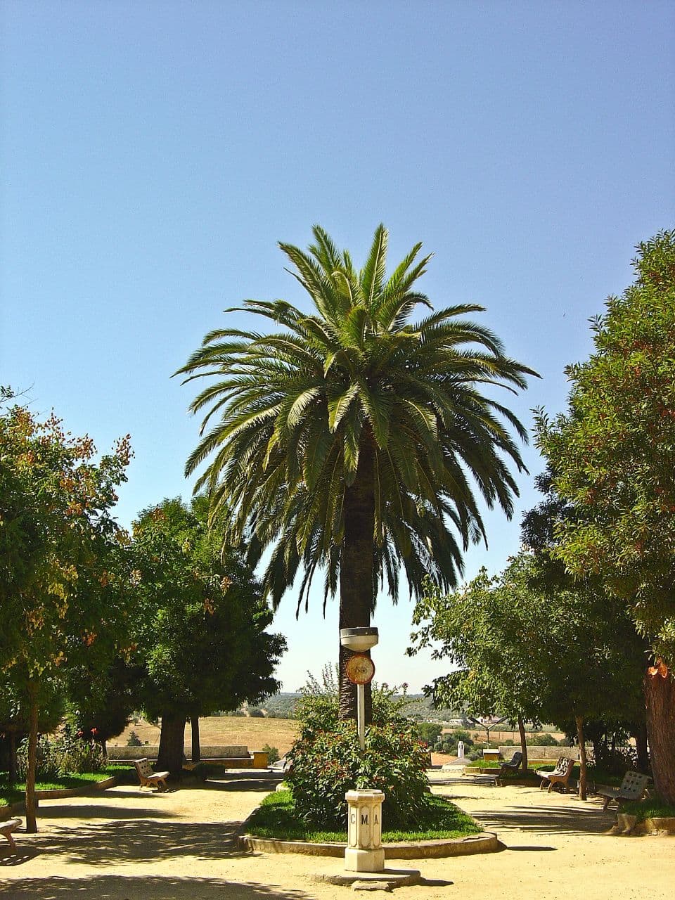 Passeio arborizado e bancos no Jardim Passeio do Mestre de Avis