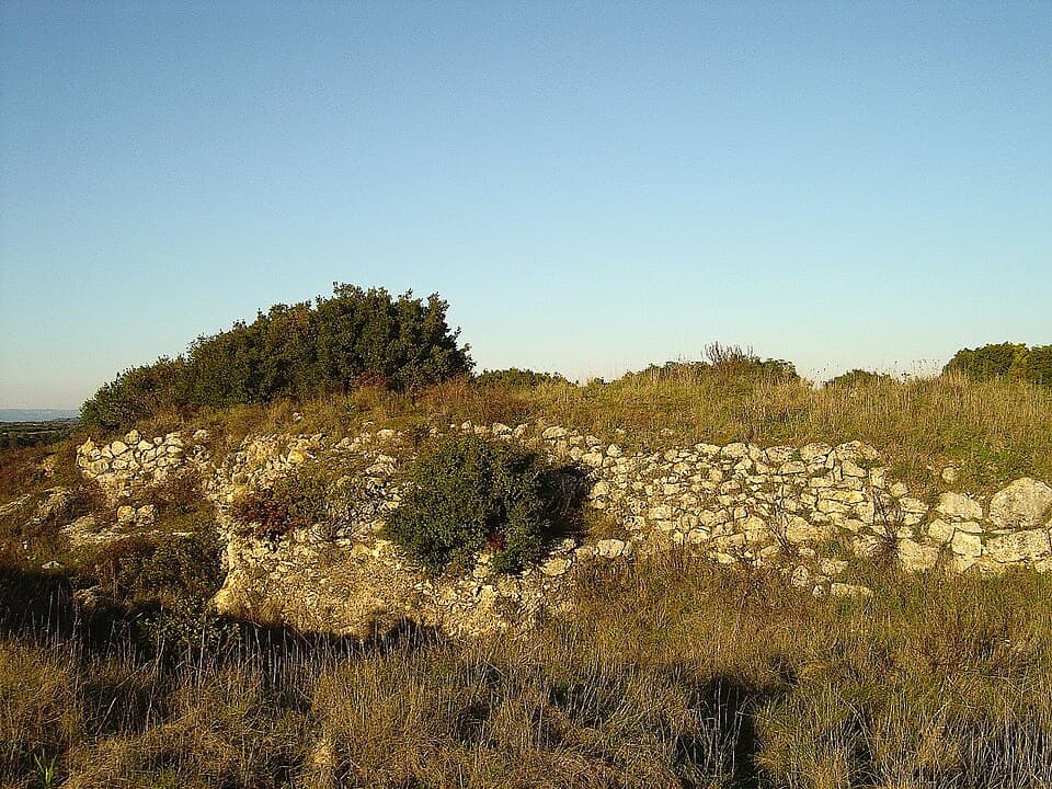 Estruturas de pedra do Castro de Vila Nova de São Pedro