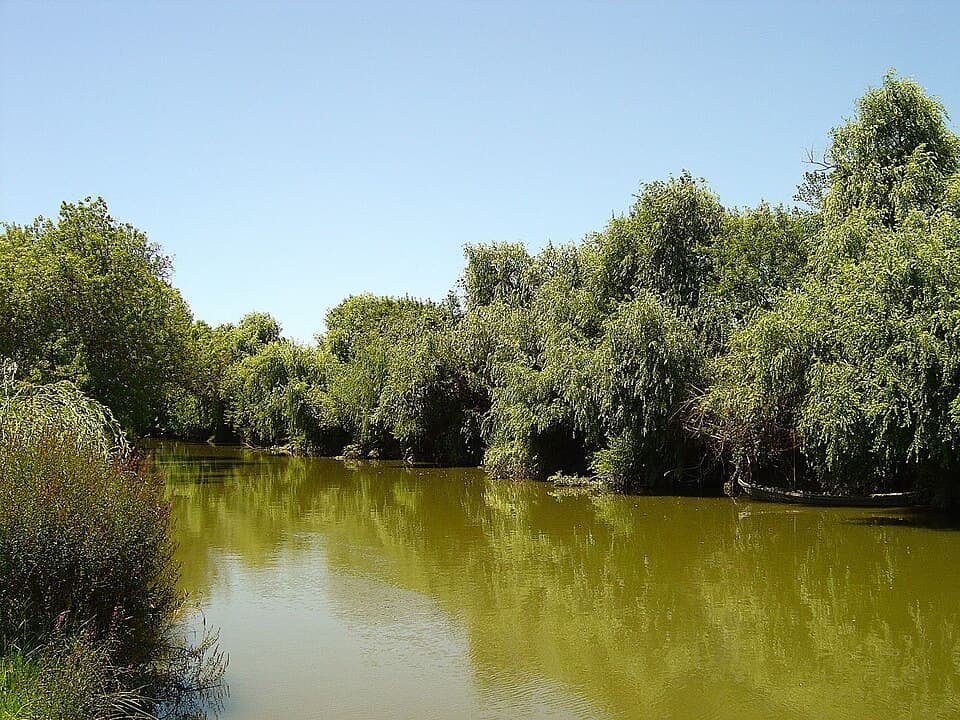 Rio Sorraia ladeado por árvores, em Benavente
