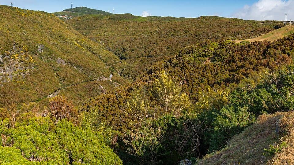Vale verde visto do Miradouro do Rabaçal, na Calheta, Madeira