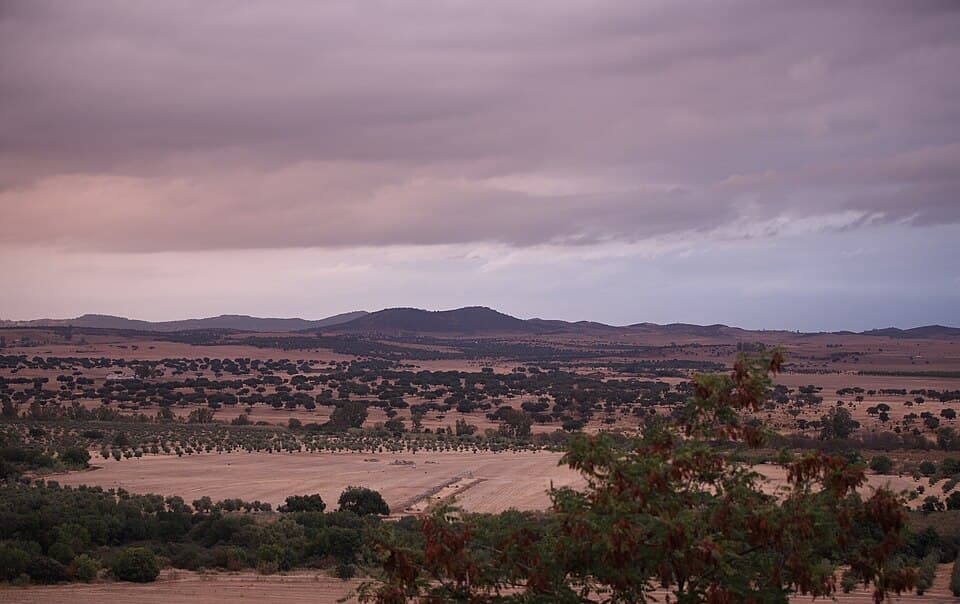 Paisagem rural do concelho de Campo Maior