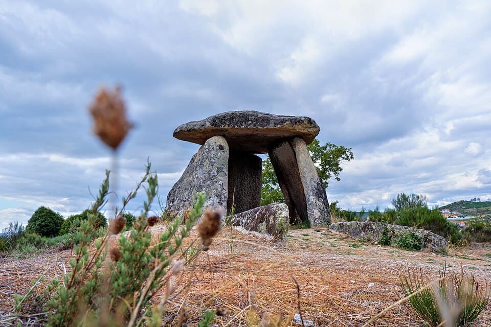 Esteios de pedra da Anta de Zedes entre vegetação