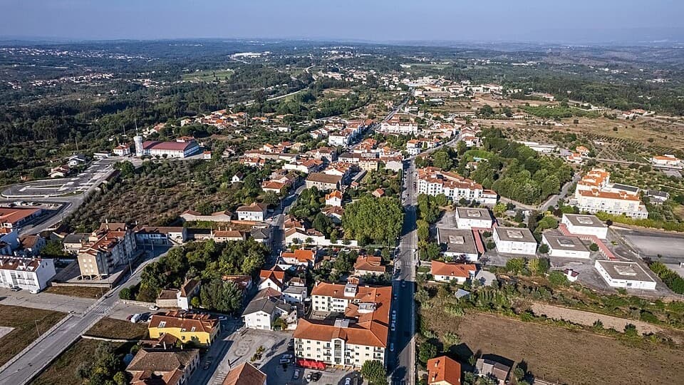Vista aérea da vila de Carregal do Sal
