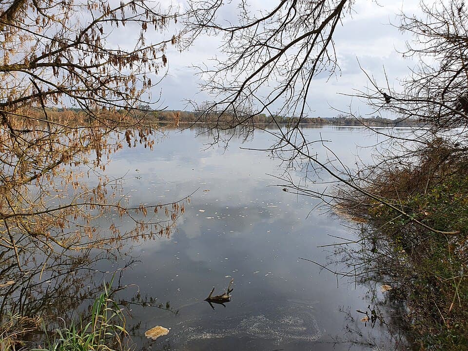 Rio Tejo e margem verde junto a Valada, no concelho do Cartaxo