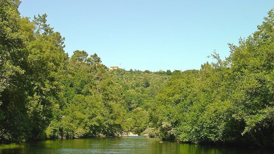 Leito da Praia Fluvial da Folgosa entre margens arborizadas