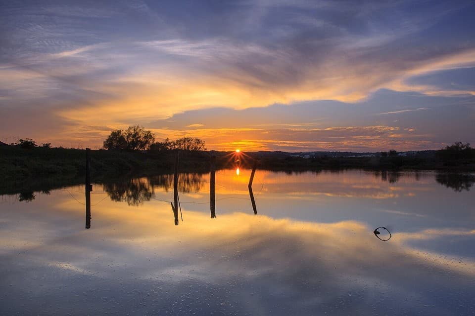 Canais e vegetação da Reserva Natural do Sapal de Castro Marim