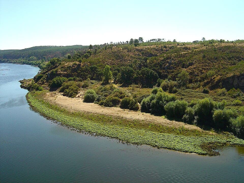 Curva do rio Tejo e margem verde no concelho da Chamusca