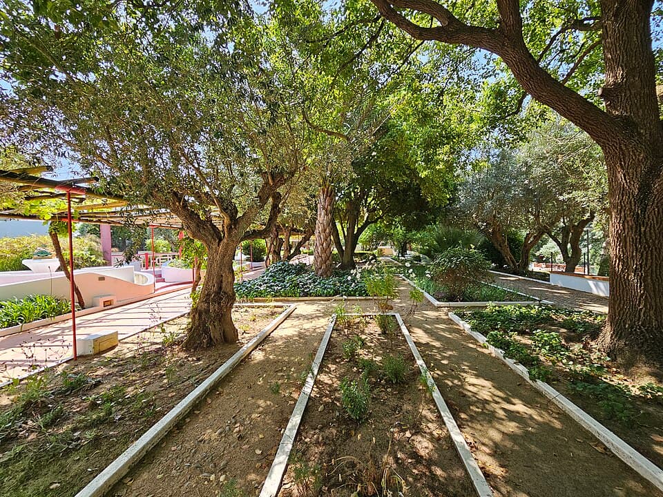 Caminhos sombreados e árvores no Jardim-Horto de Camões em Constância