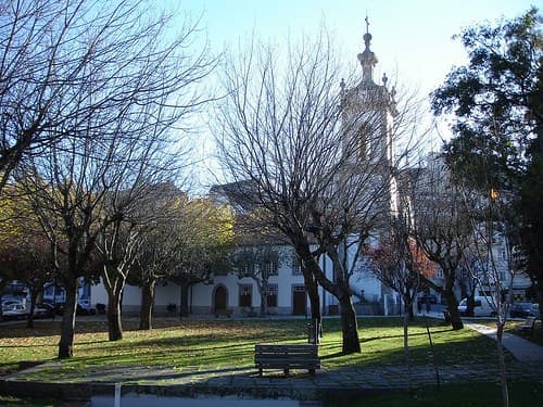 Árvores, relvado e bancos no Jardim Público da Covilhã