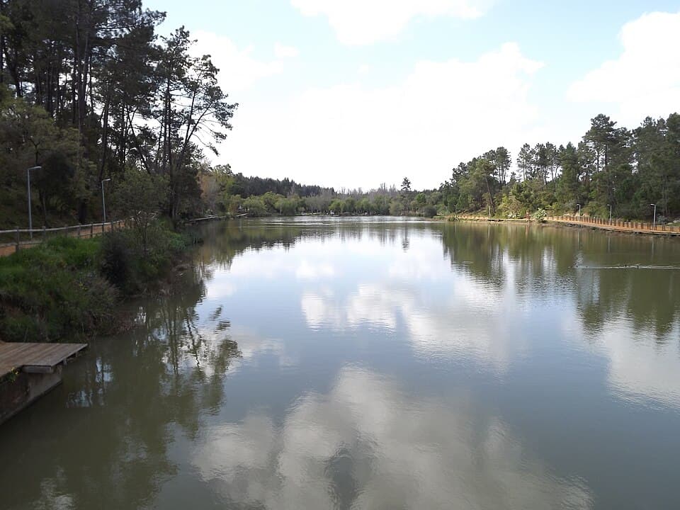 Albufeira rodeada de vegetação no Parque Verde do Bonito