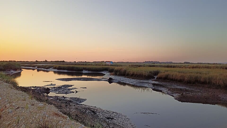 Esteiro e sapal ao pôr do sol no percurso de Salreu da BioRia