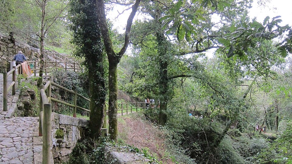Caminho de pedra entre árvores na área de lazer da Queimadela