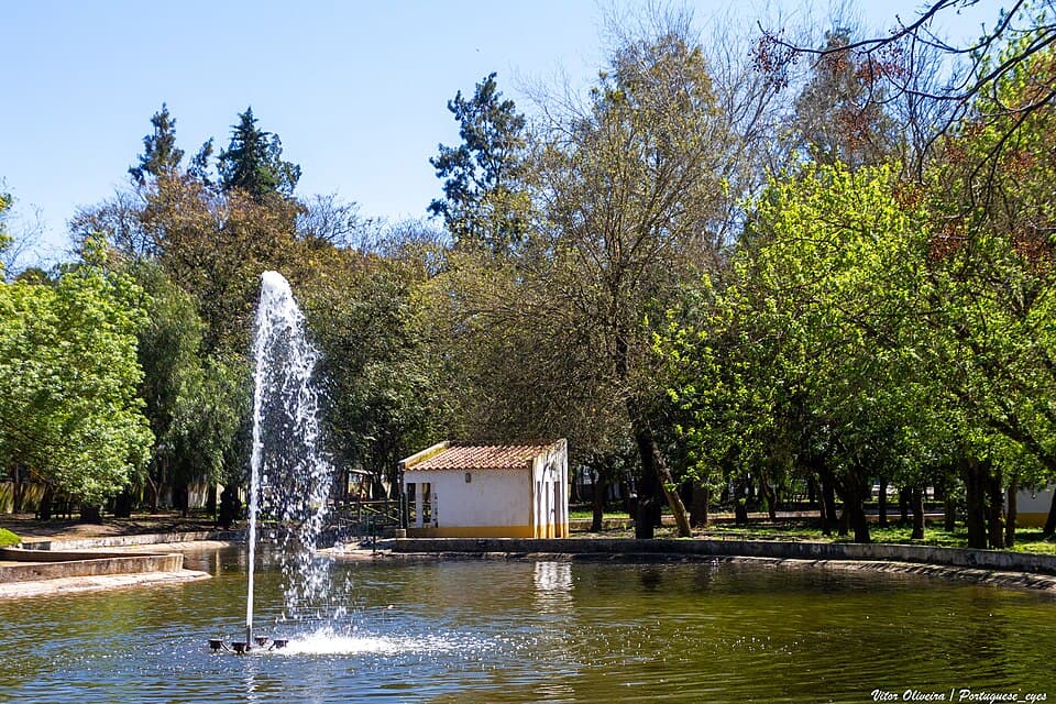 Lago, fonte e arvoredo no Jardim Público Municipal de Ferreira do Alentejo