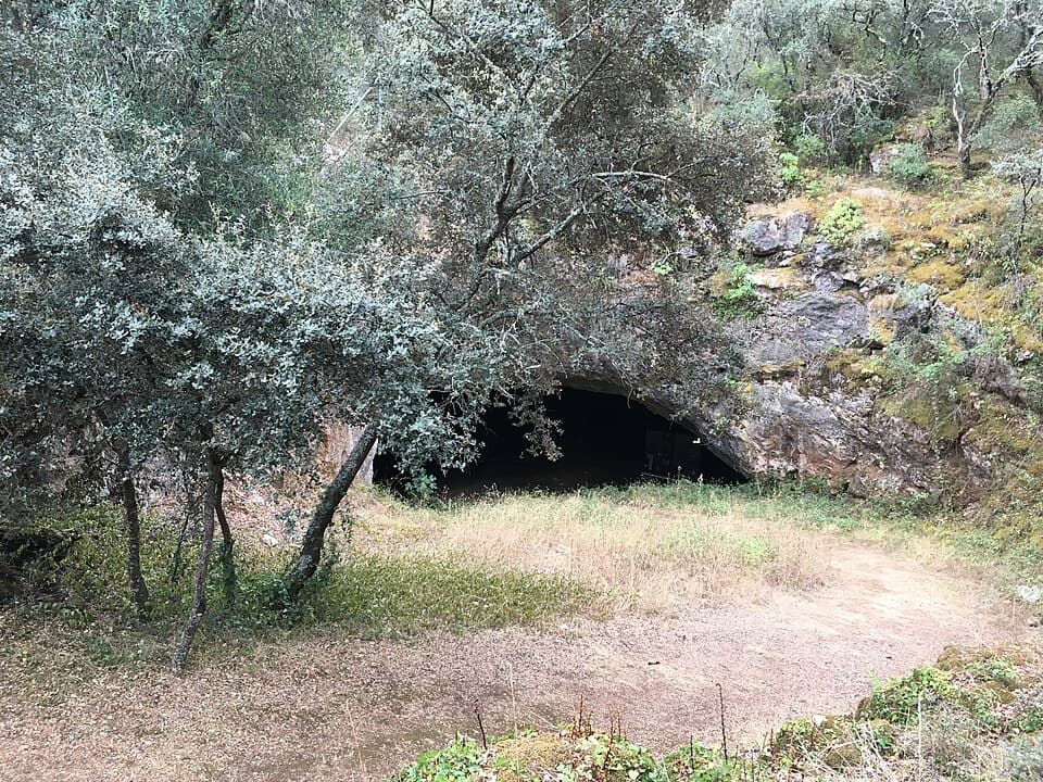 Entrada da Gruta de Avecasta entre árvores e afloramentos rochosos