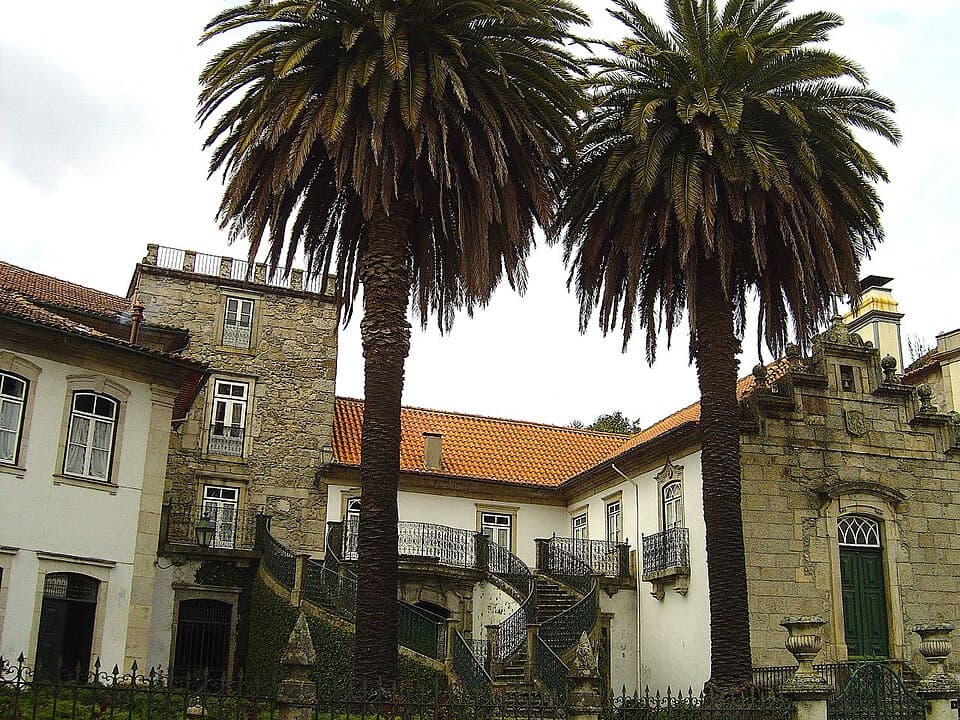 Casario histórico e palmeiras no centro de Fornos de Algodres