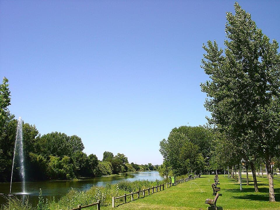 Lago e árvores do espaço Equuspolis na Golegã