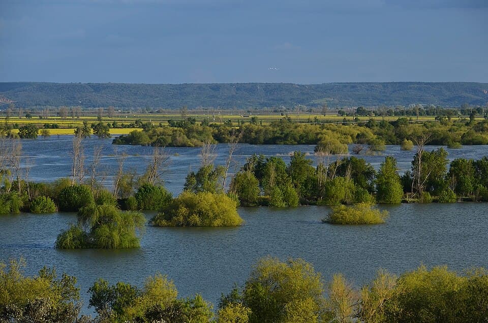 Plano de água e vegetação da Reserva Natural do Paul do Boquilobo