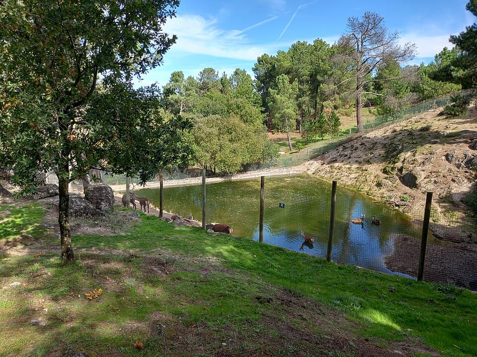 Lago e vegetação no Parque Ecológico de Gouveia