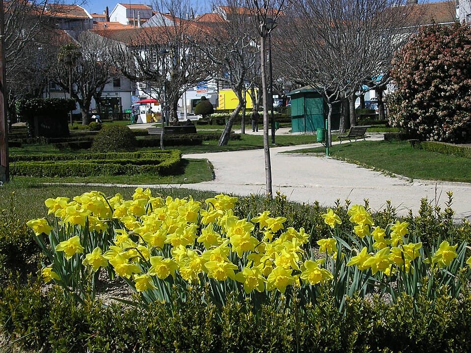 Jardim José de Lemos, na Guarda