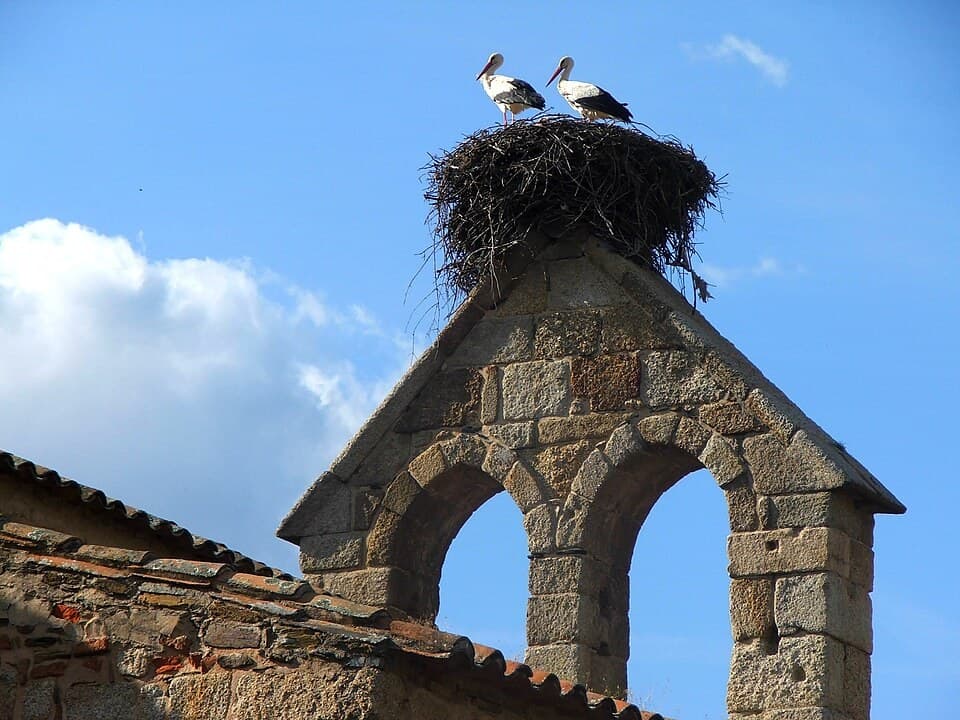 Campanário de pedra e ninho de cegonhas na Antiga Sé de Idanha-a-Velha