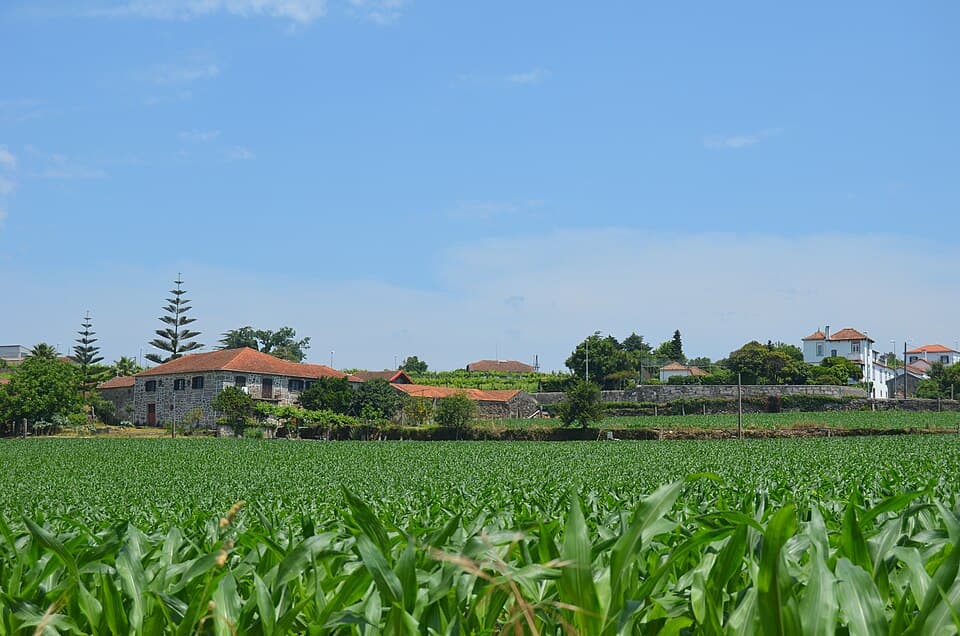 Paisagem agrícola atravessada pelo Ecocaminho da Maia