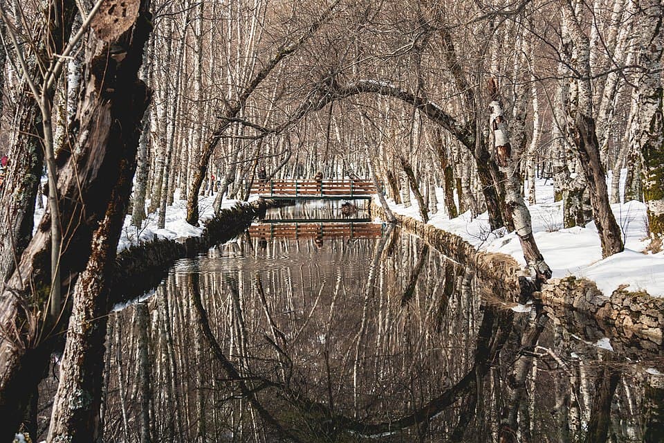 Árvores e ponte refletidas na água do Covão d’Ametade