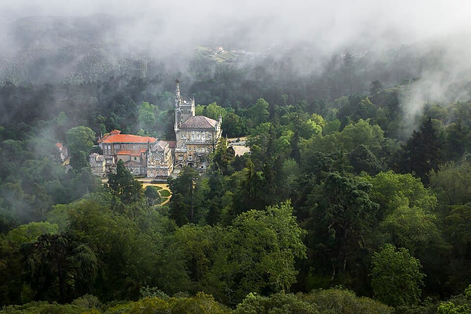 Palace Hotel do Buçaco entre a vegetação da mata, no concelho da Mealhada