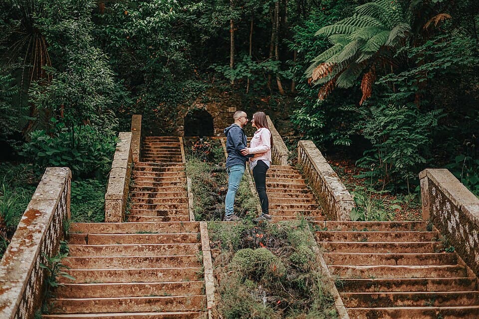 Escadaria entre a vegetação da Mata Nacional do Buçaco, na Mealhada