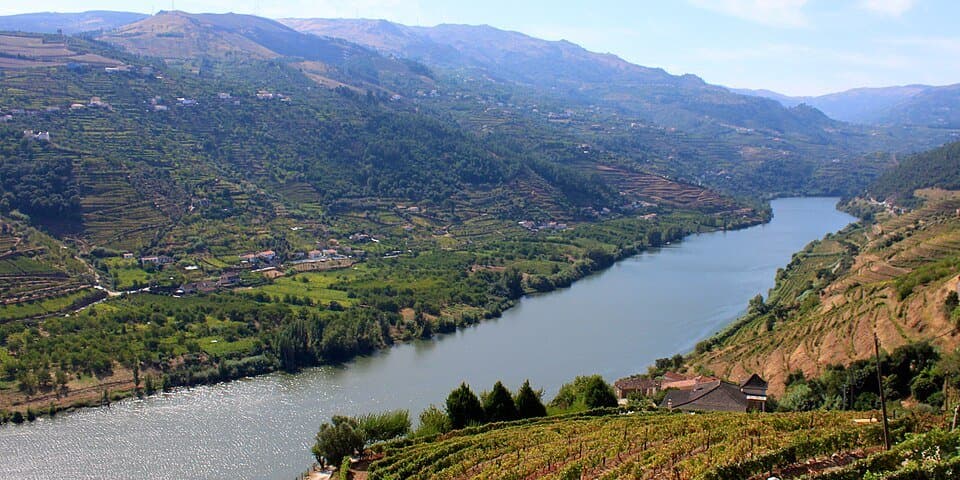 Rio Douro e socalcos de vinha vistos do concelho de Mesão Frio