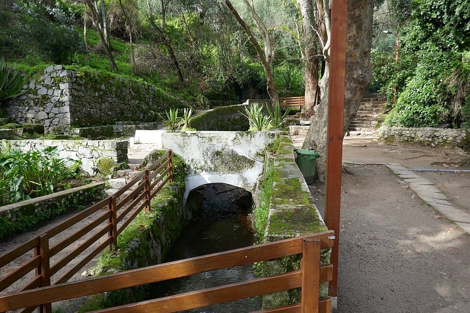 Canal de água, ponte branca e arvoredo no parque termal das Caldas de Monchique