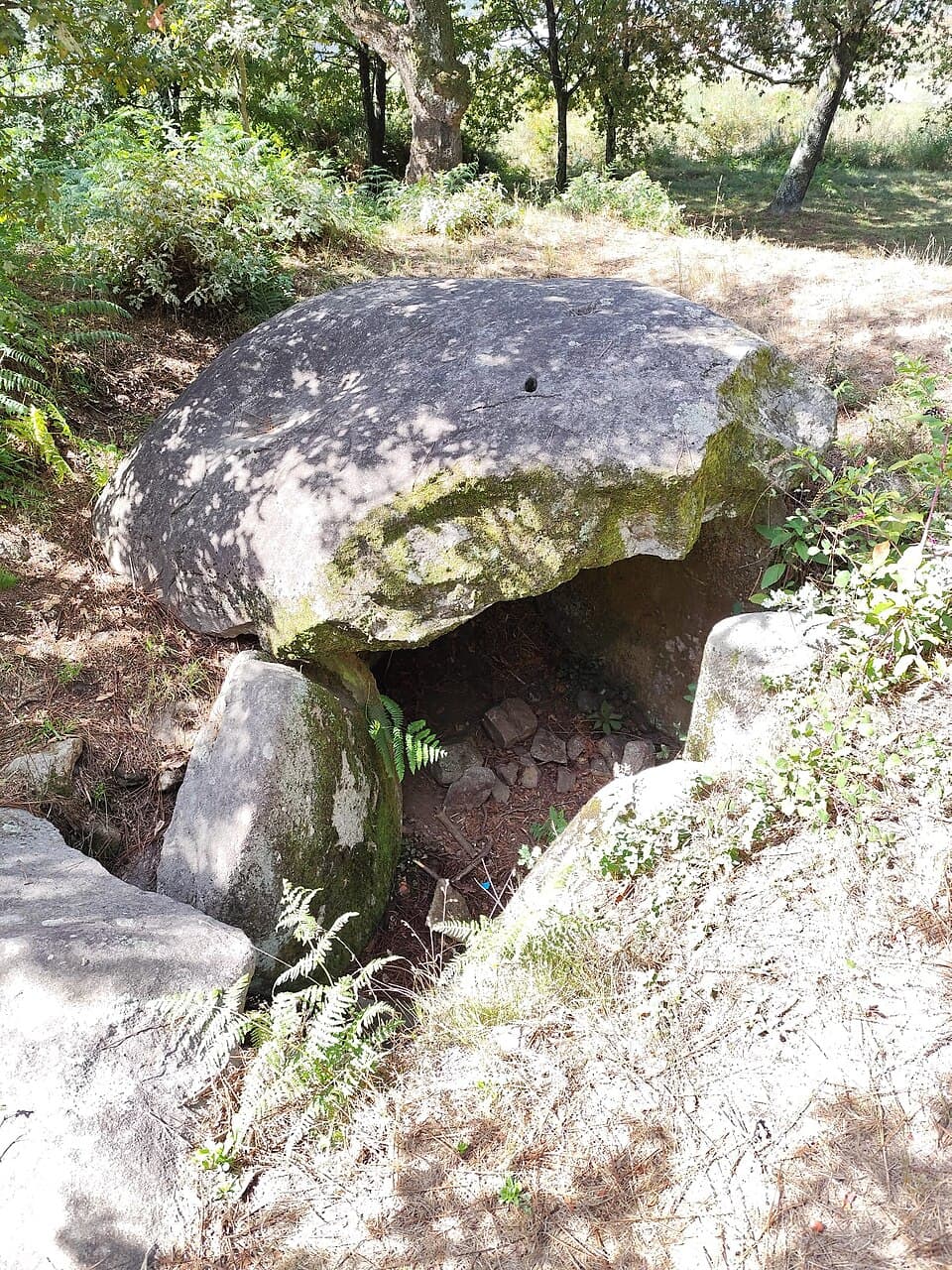 Estrutura de pedra do Dólmen de Lamoso entre a vegetação