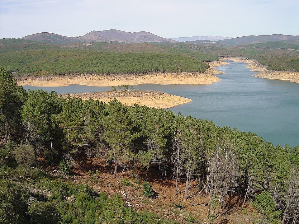 Albufeira de Santa Luzia entre montes cobertos por floresta
