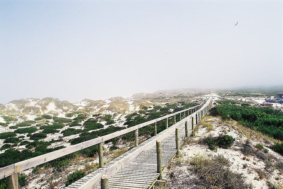 Passadiço de madeira entre as dunas da Praia do Osso da Baleia