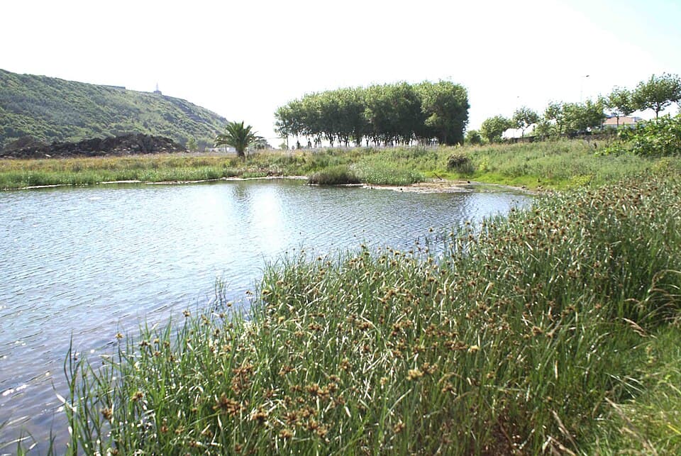 Lago no Paul da Praia da Vitória