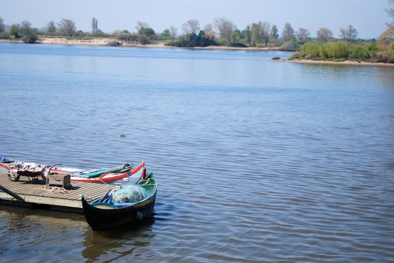 Barco tradicional junto ao cais do Escaroupim, em Salvaterra de Magos