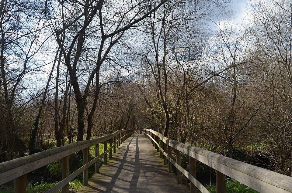 Parque das Ribeiras do rio Uíma