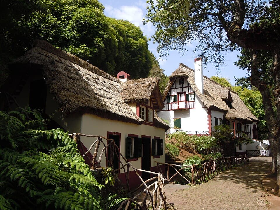 Casa florestal e vegetação do Parque das Queimadas em Santana
