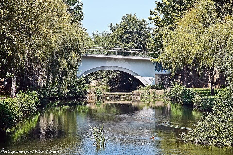 Rio, árvores e ponte no Parque Urbano do Rio Ul, em São João da Madeira