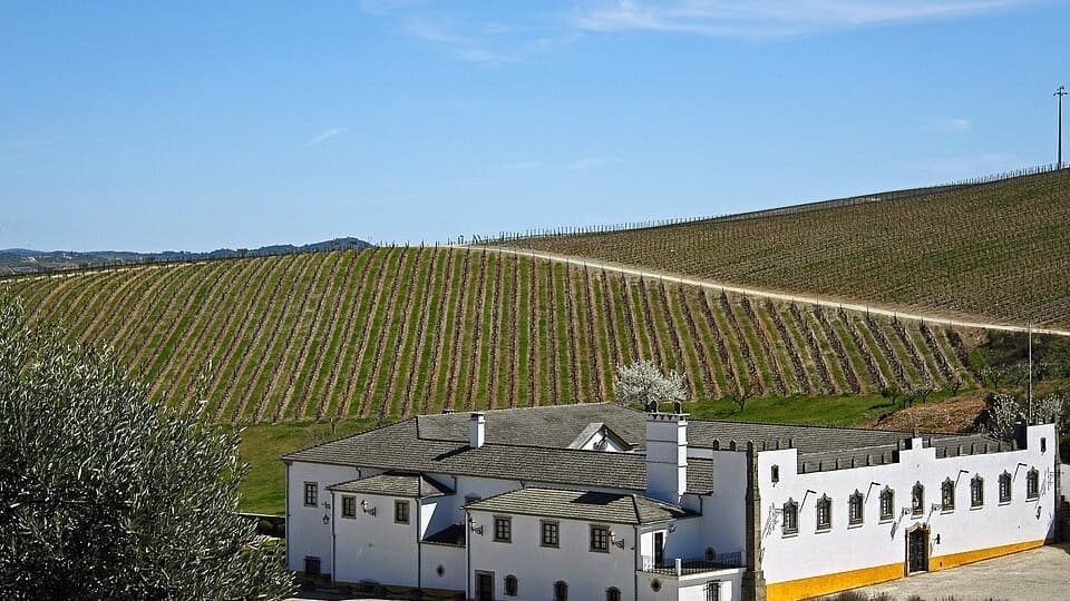 Edifícios e vinhas da Quinta do Cidrô em São João da Pesqueira