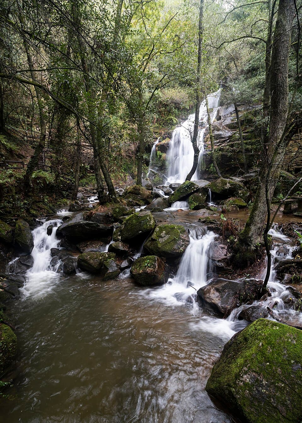 Cascata da Cabreia entre rochas e vegetação, em Sever do Vouga