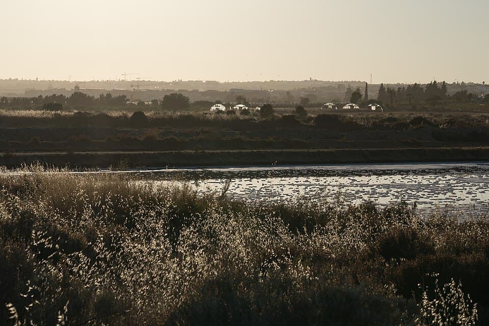 Salinas de Tavira