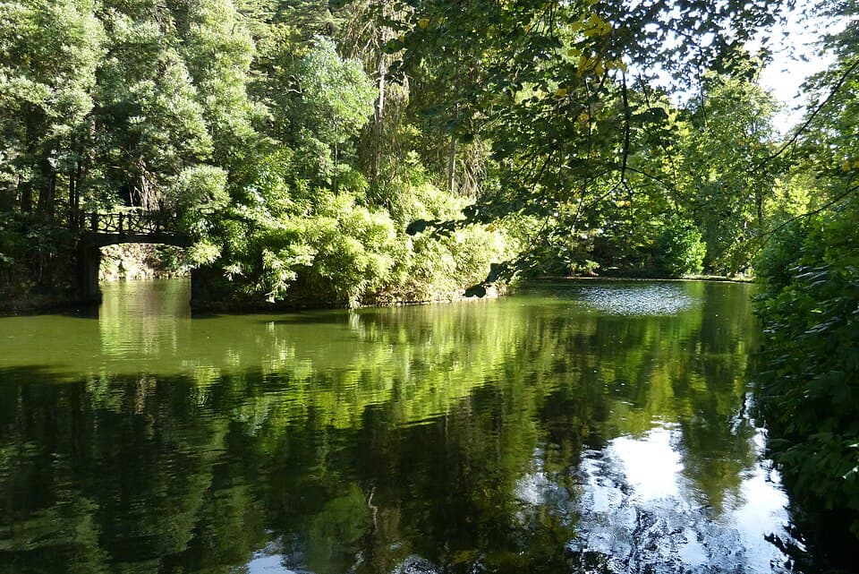Lago rodeado de árvores no Parque Tude de Sousa, na Vila do Gerês