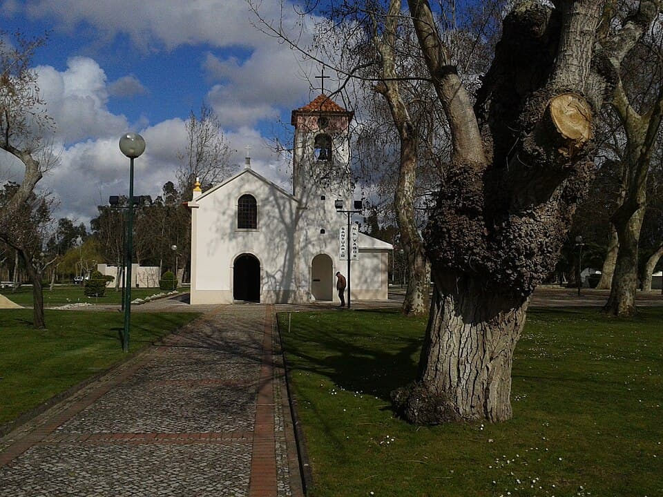 Igreja e caminho arborizado do Santuário de Nossa Senhora de Vagos