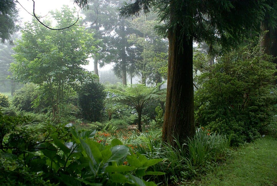 Parque das Sete Fontes em Rosais, concelho de Velas